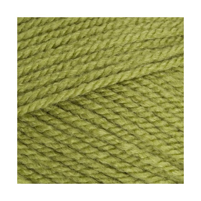 Stylecraft_Special_Aran_Meadow_1065