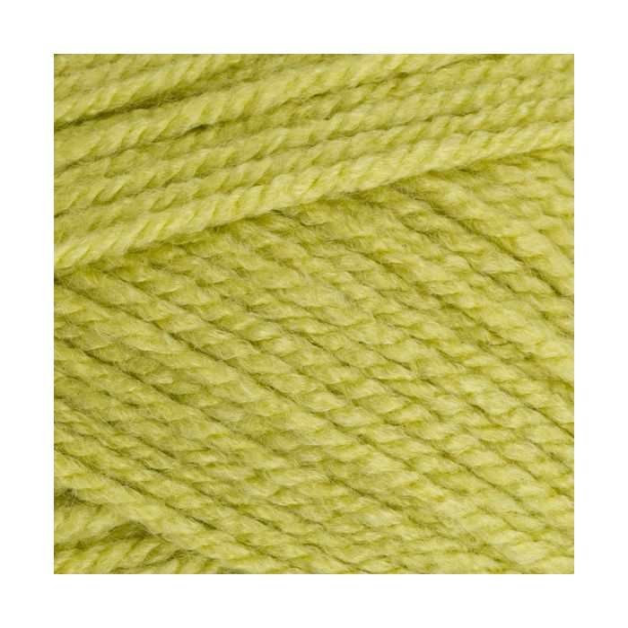 Stylecraft_Special_Aran_Pistachio_1822