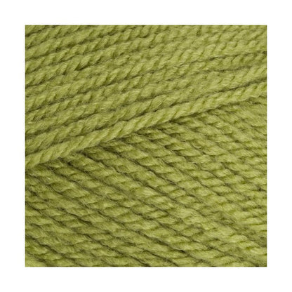 Stylecraft_Special_Aran_Meadow_1065